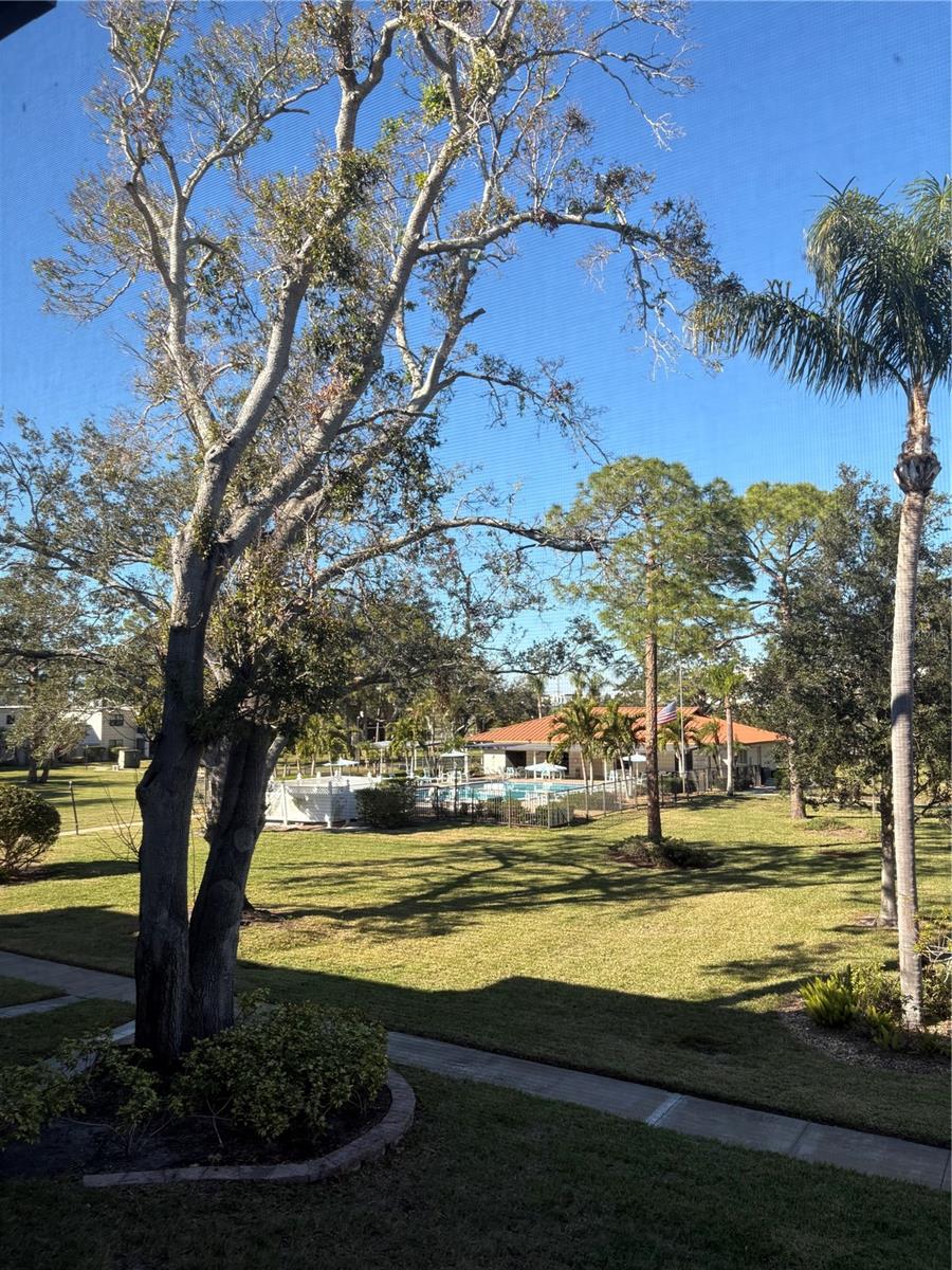 4910 BAY ST NE #204, ST PETERSBURG, FL, 33703