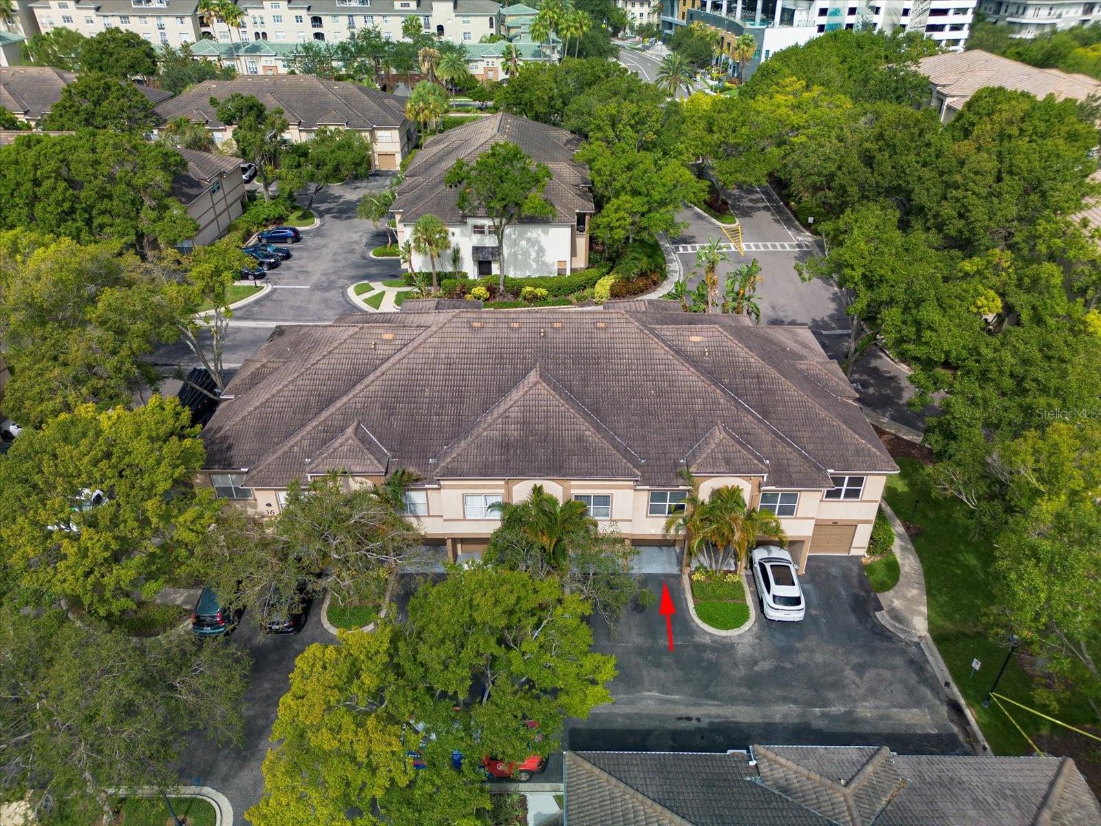 610 ARBOR LAKE LN, TAMPA, FL, 33602