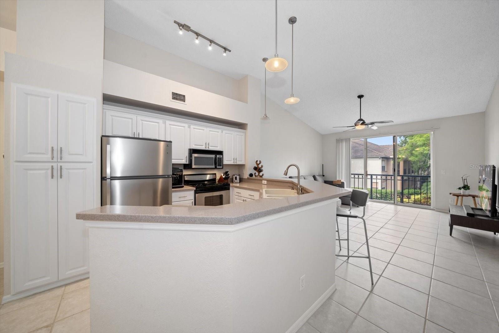 610 ARBOR LAKE LN, TAMPA, FL, 33602