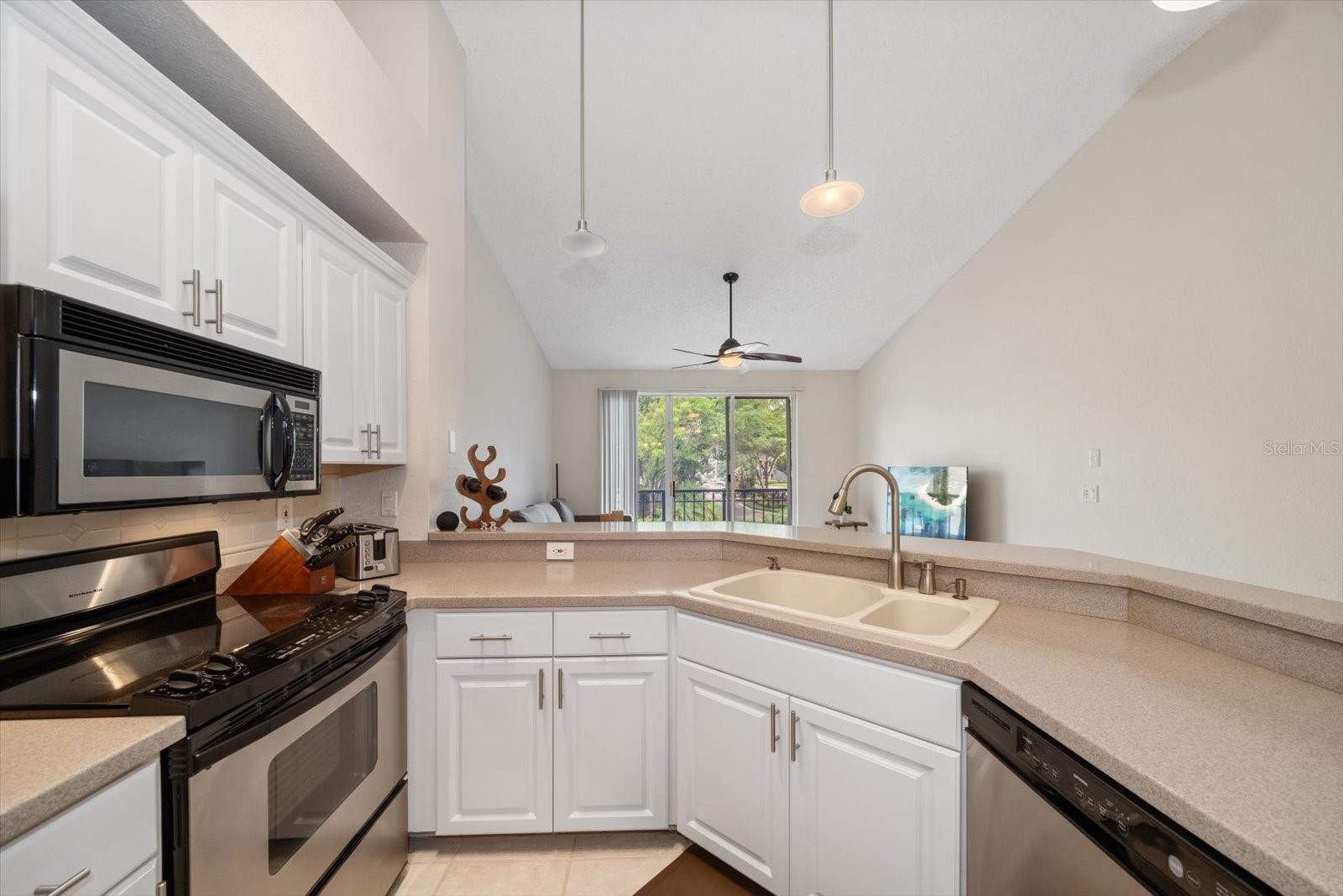 610 ARBOR LAKE LN, TAMPA, FL, 33602