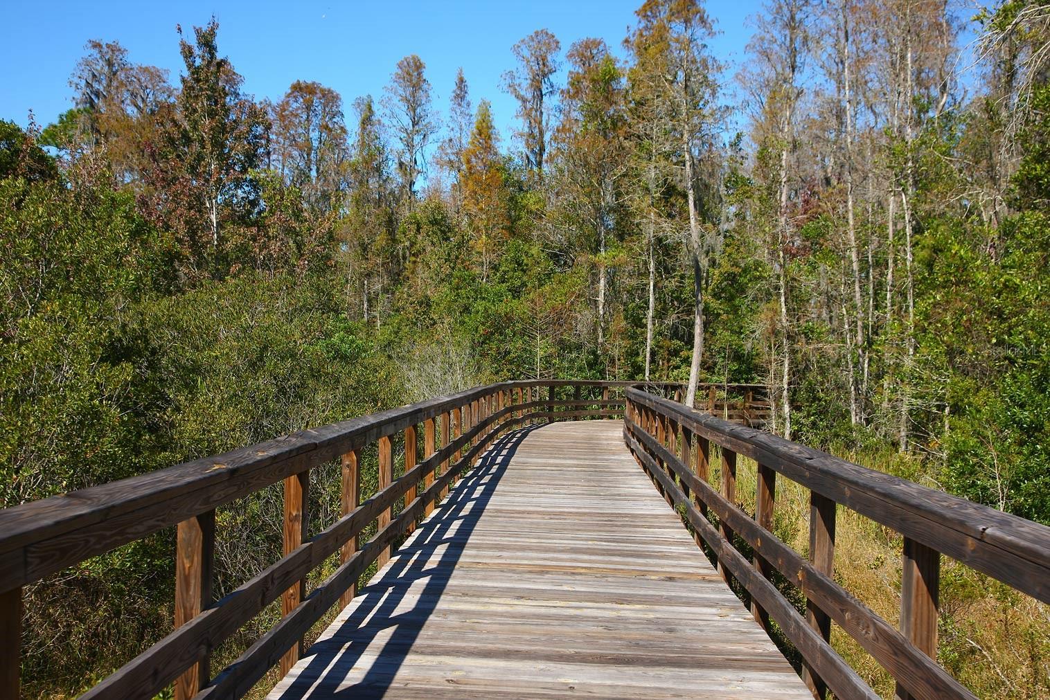9728 RUNAWAY BREEZE DR, LAND O LAKES, FL, 34637