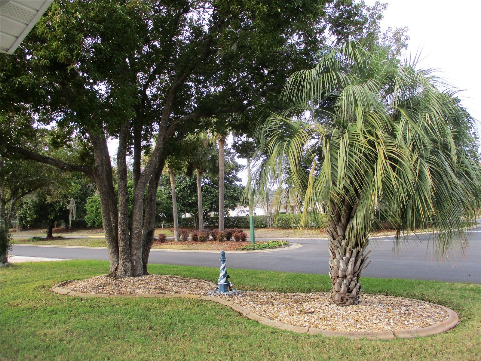 11500 SW 136TH PL, DUNNELLON, FL, 34432