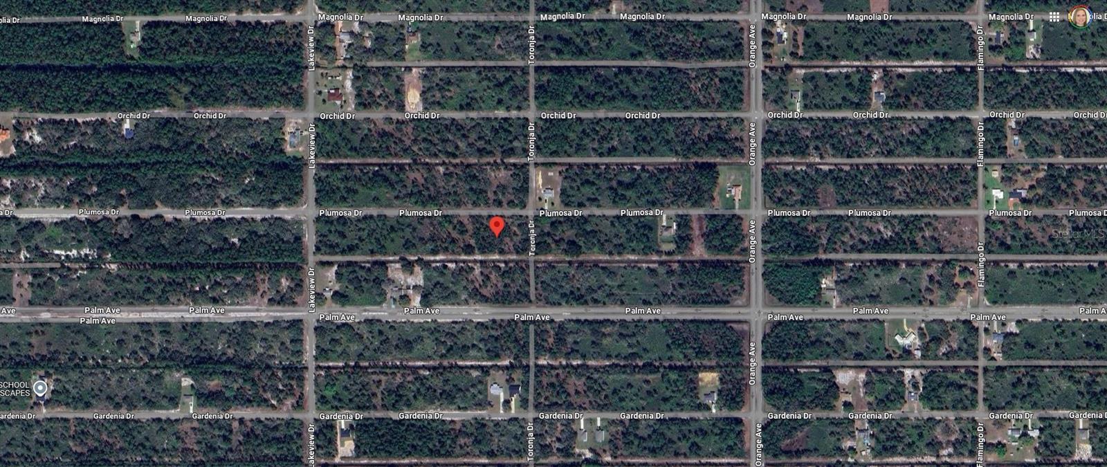 903 PLUMOSA DR, INDIAN LAKE ESTATES, FL, 33855