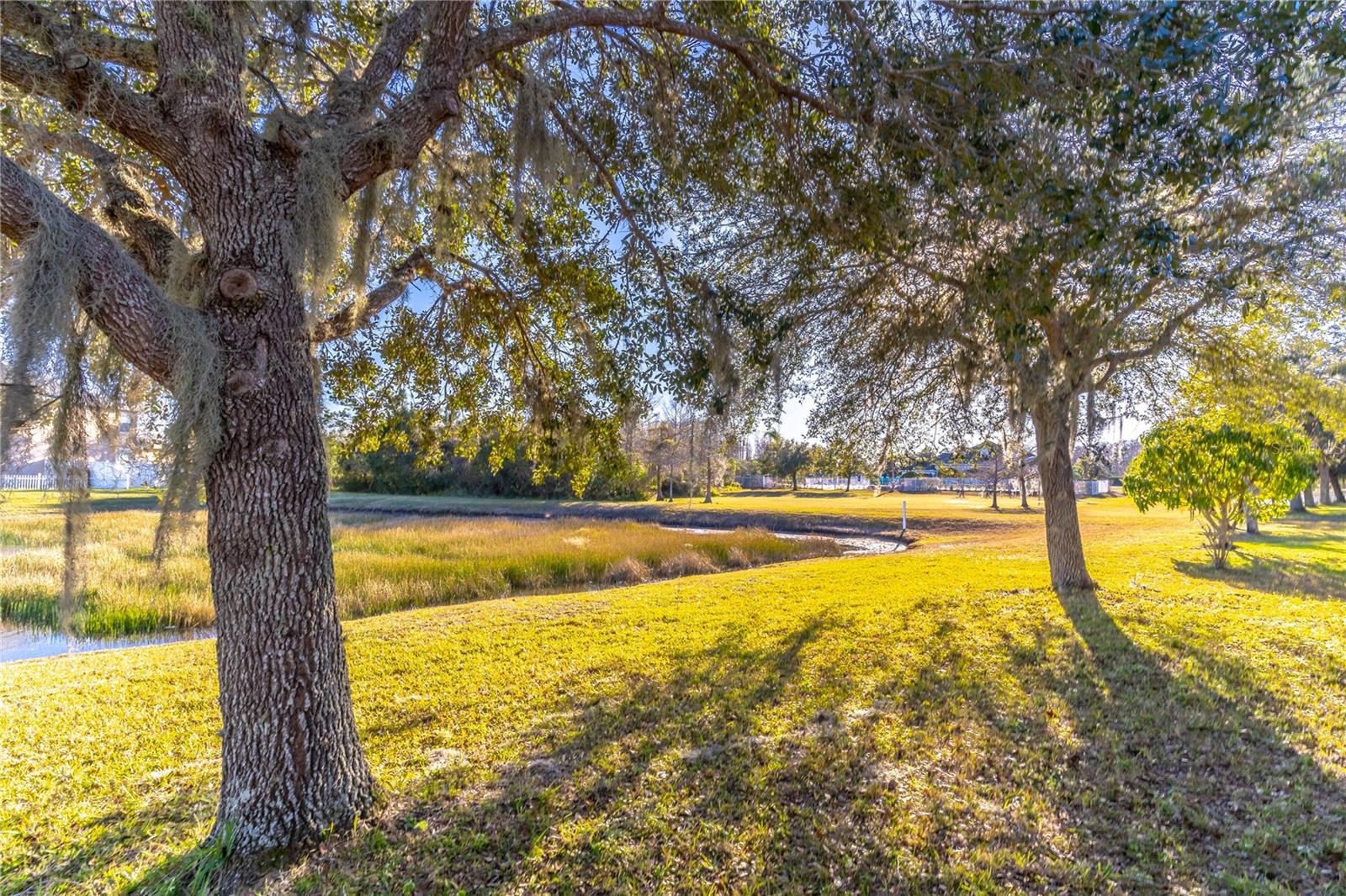 2132 DARLIN CIR, ORLANDO, FL, 32820