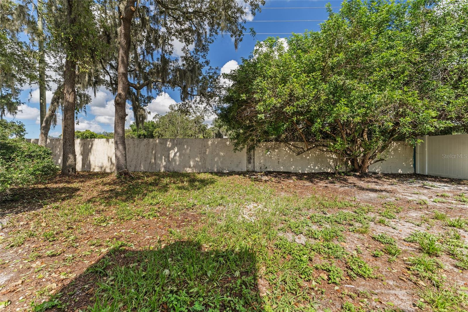 3915 BRIARLAKE DR, VALRICO, FL, 33596