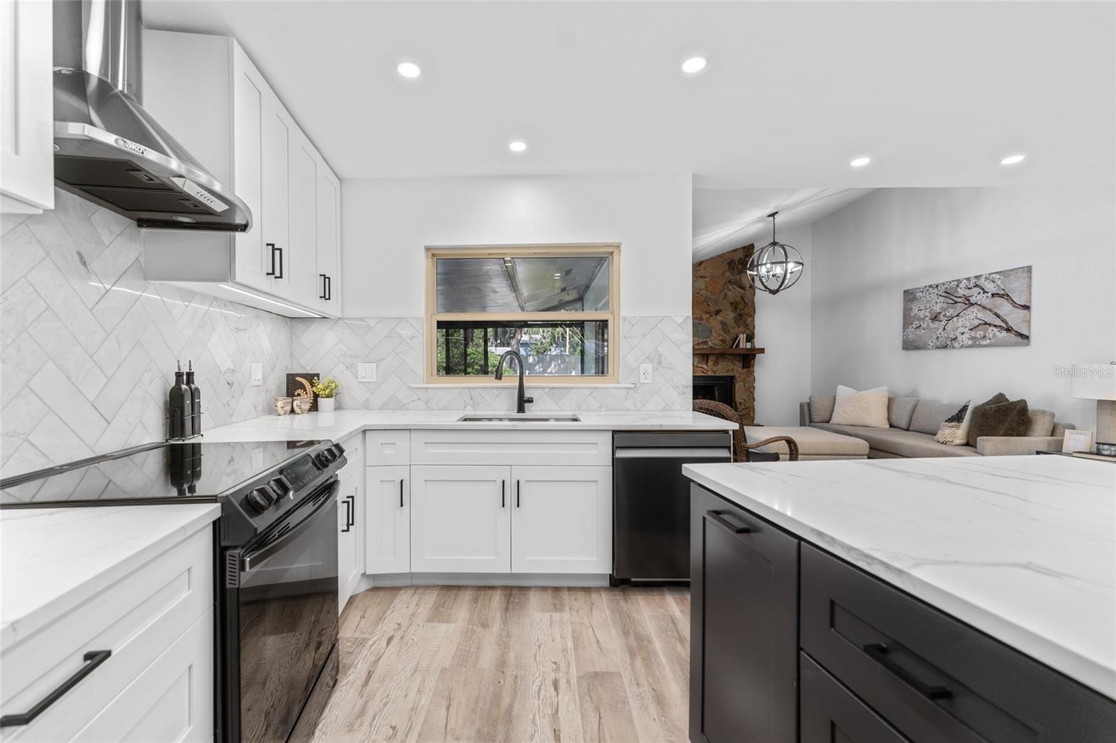 3915 BRIARLAKE DR, VALRICO, FL, 33596