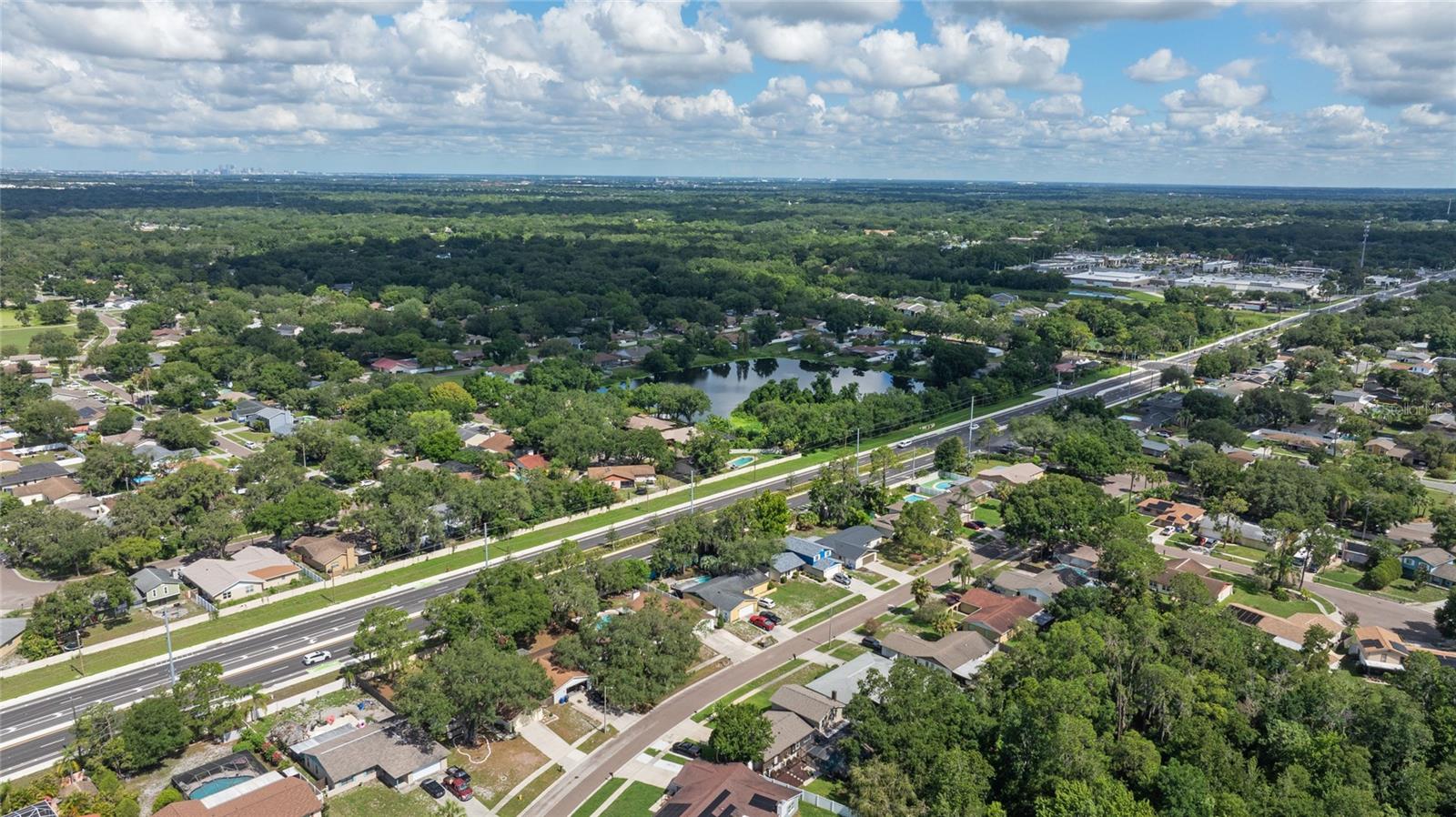 3915 BRIARLAKE DR, VALRICO, FL, 33596