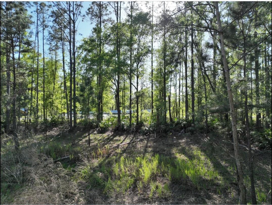 0 NE 77TH AVE, BRONSON, FL, 32621