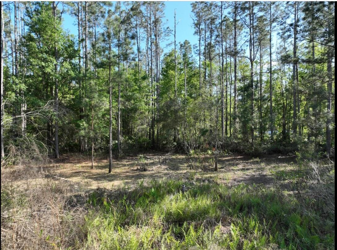 0 NE 77TH AVE, BRONSON, FL, 32621