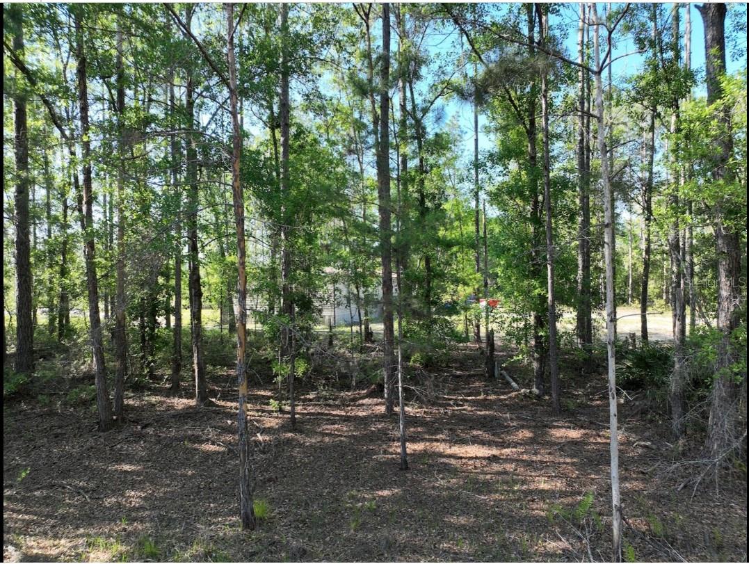 0 NE 77TH AVE, BRONSON, FL, 32621