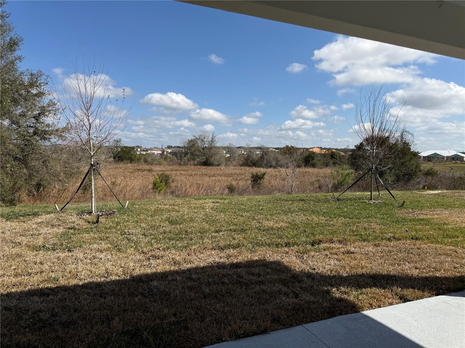31819 CARDINAL YARD DR, SAN ANTONIO, FL, 33576