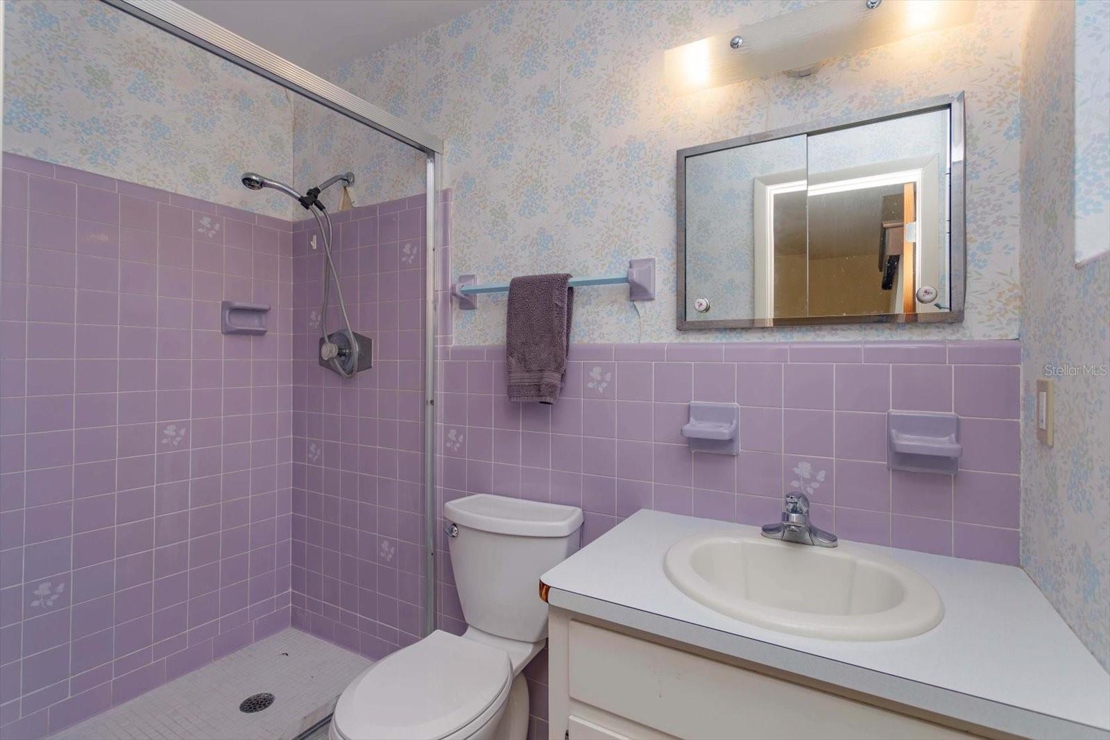 3817 BAINBRIDGE AVE, ORLANDO, FL, 32839
