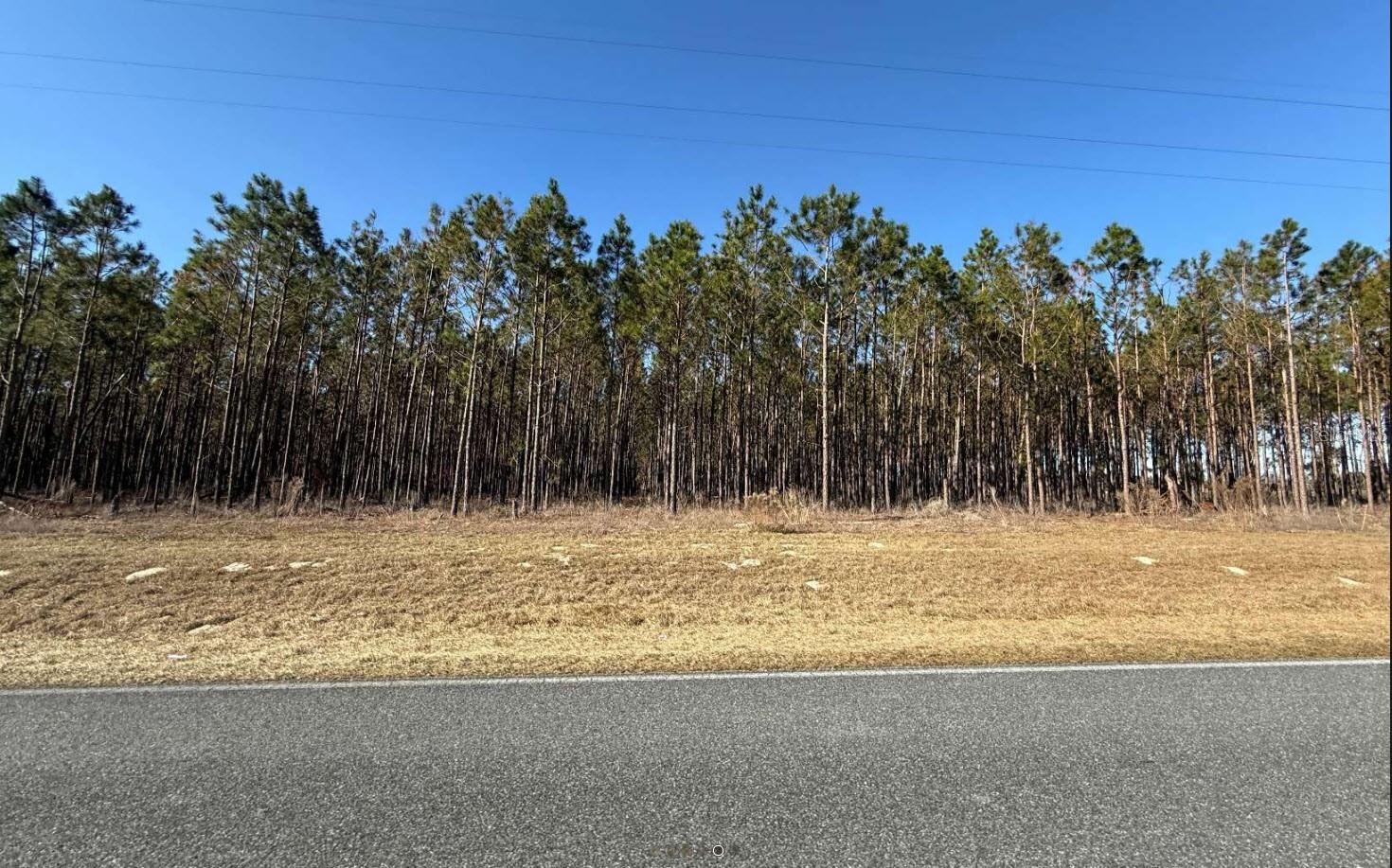 NW COUNTY ROAD 251, MAYO, FL, 32066