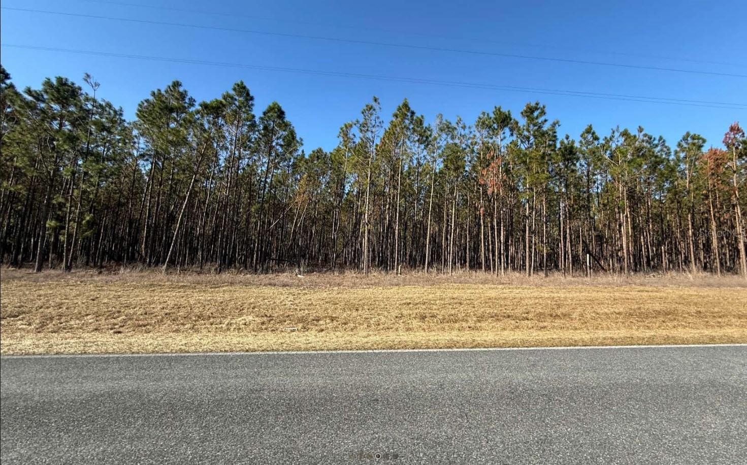 NW COUNTY ROAD 251, MAYO, FL, 32066
