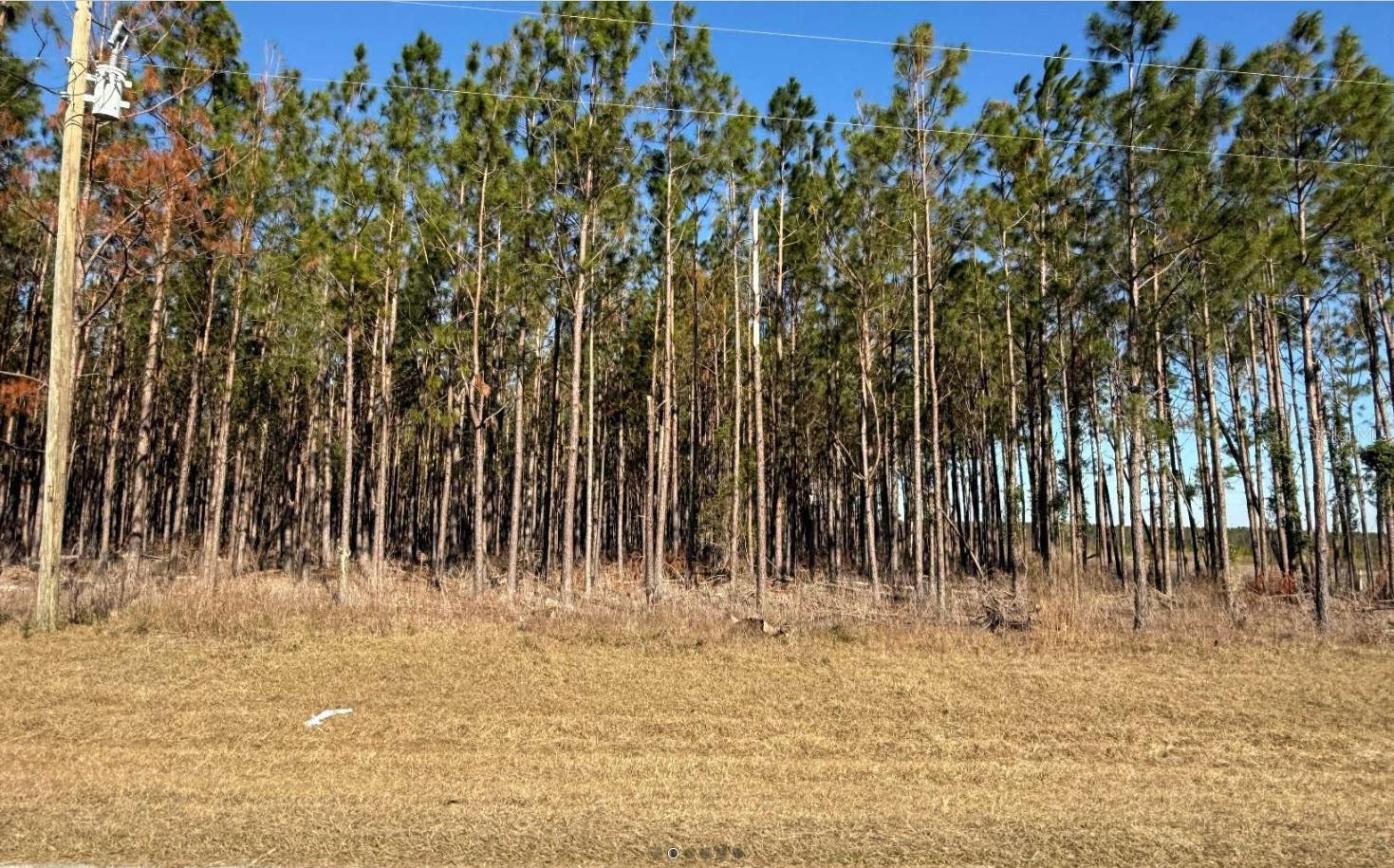 NW COUNTY ROAD 251, MAYO, FL, 32066