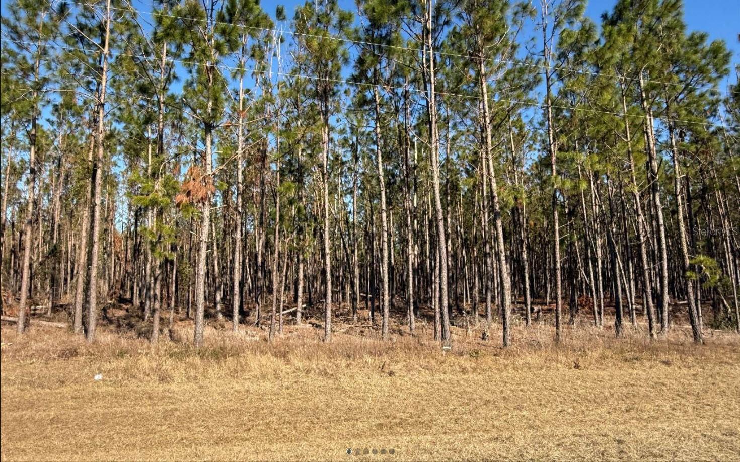 NW COUNTY ROAD 251, MAYO, FL, 32066
