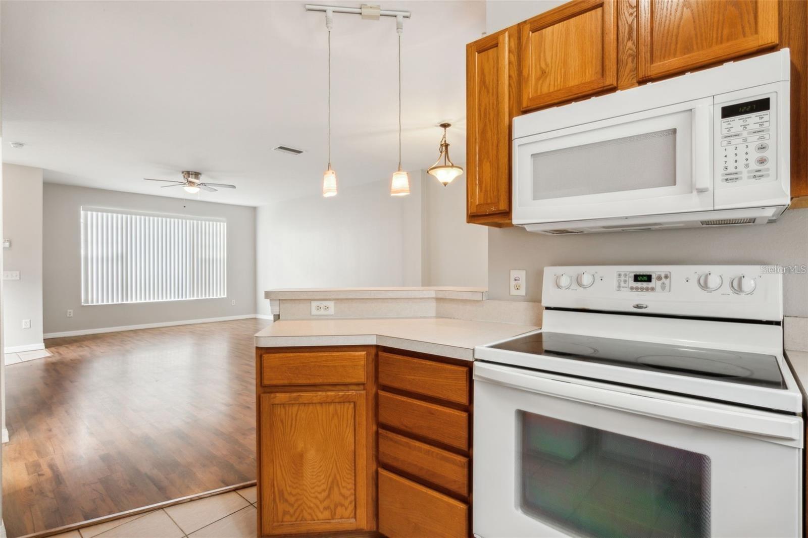 TOWNHOMES OF LAKEVIEW VILLAGE, SEFFNER, FL, 33584