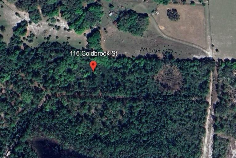 116 COLDBROOK ST, GEORGETOWN, FL, 32139