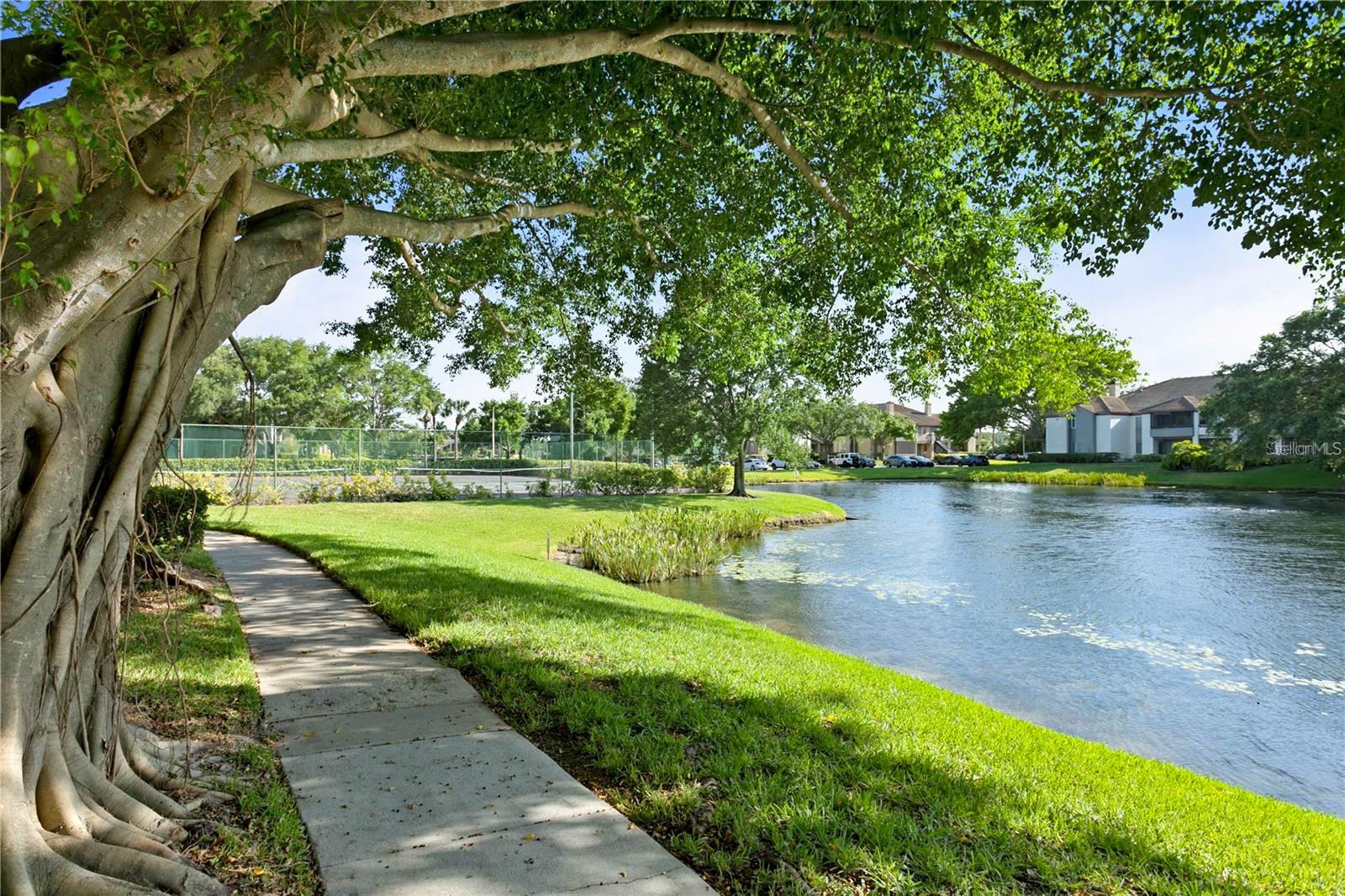 10263 GANDY BLVD N #505, ST PETERSBURG, FL, 33702