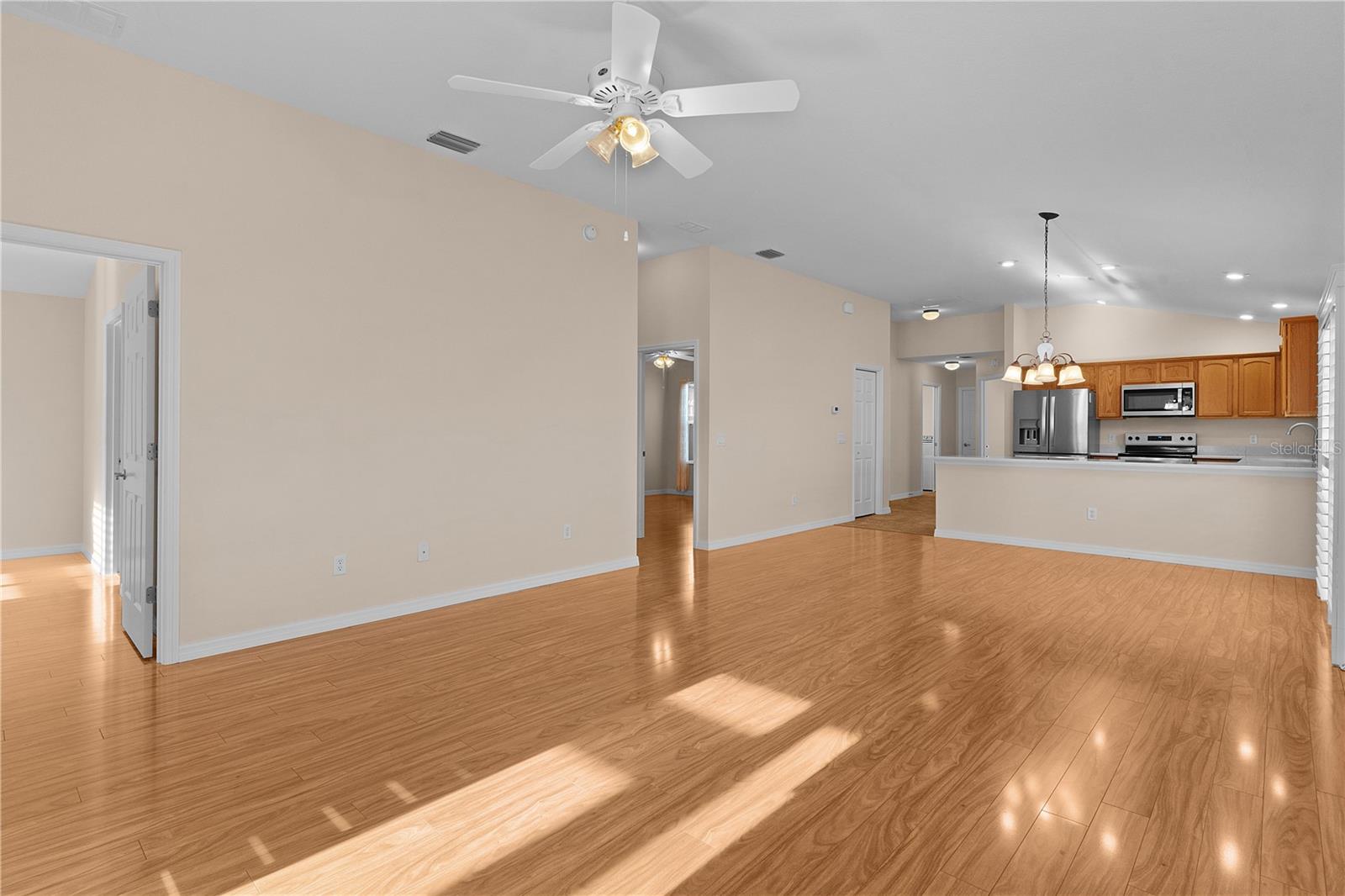 446 FLOSSMOOR CT, THE VILLAGES, FL, 32162