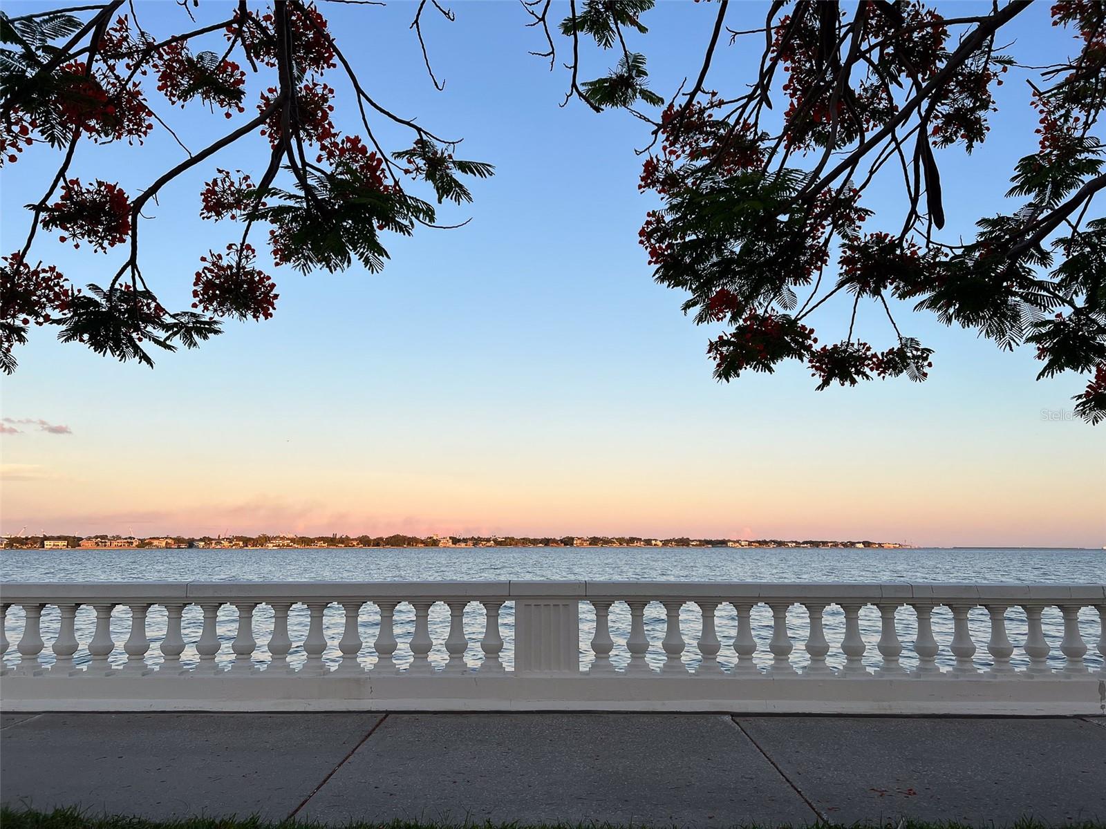 2109 BAYSHORE BLVD #909, TAMPA, FL, 33606