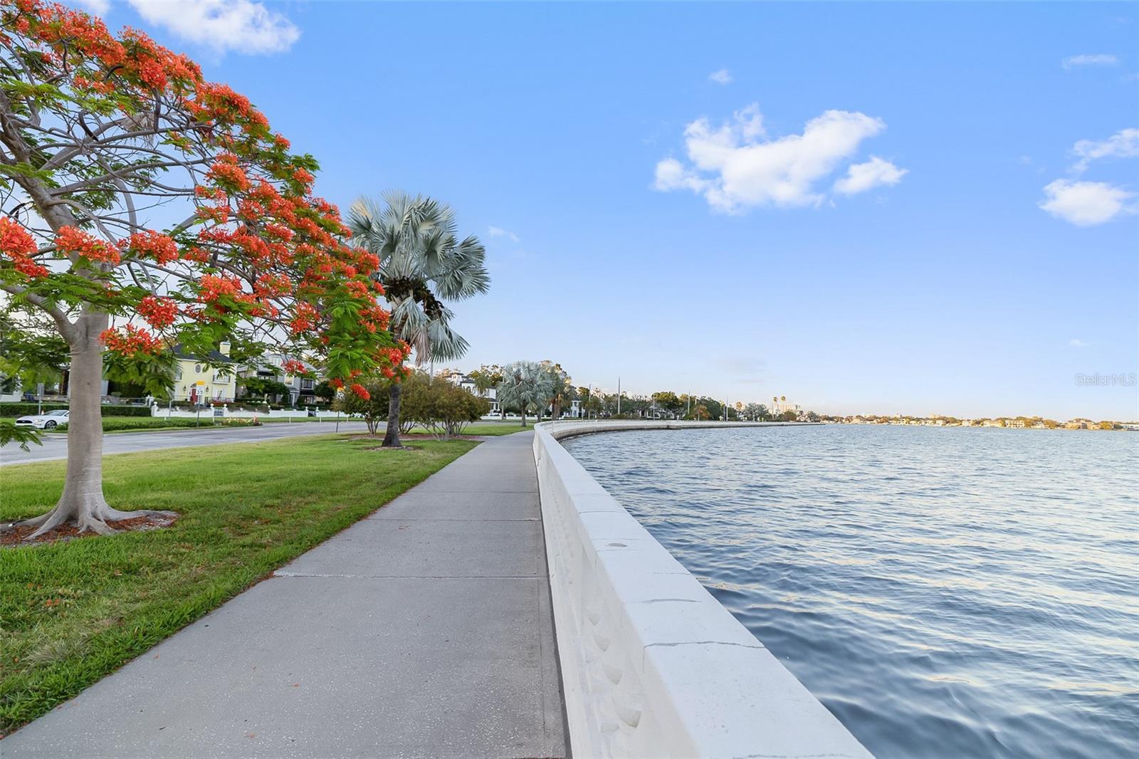 2109 BAYSHORE BLVD #909, TAMPA, FL, 33606