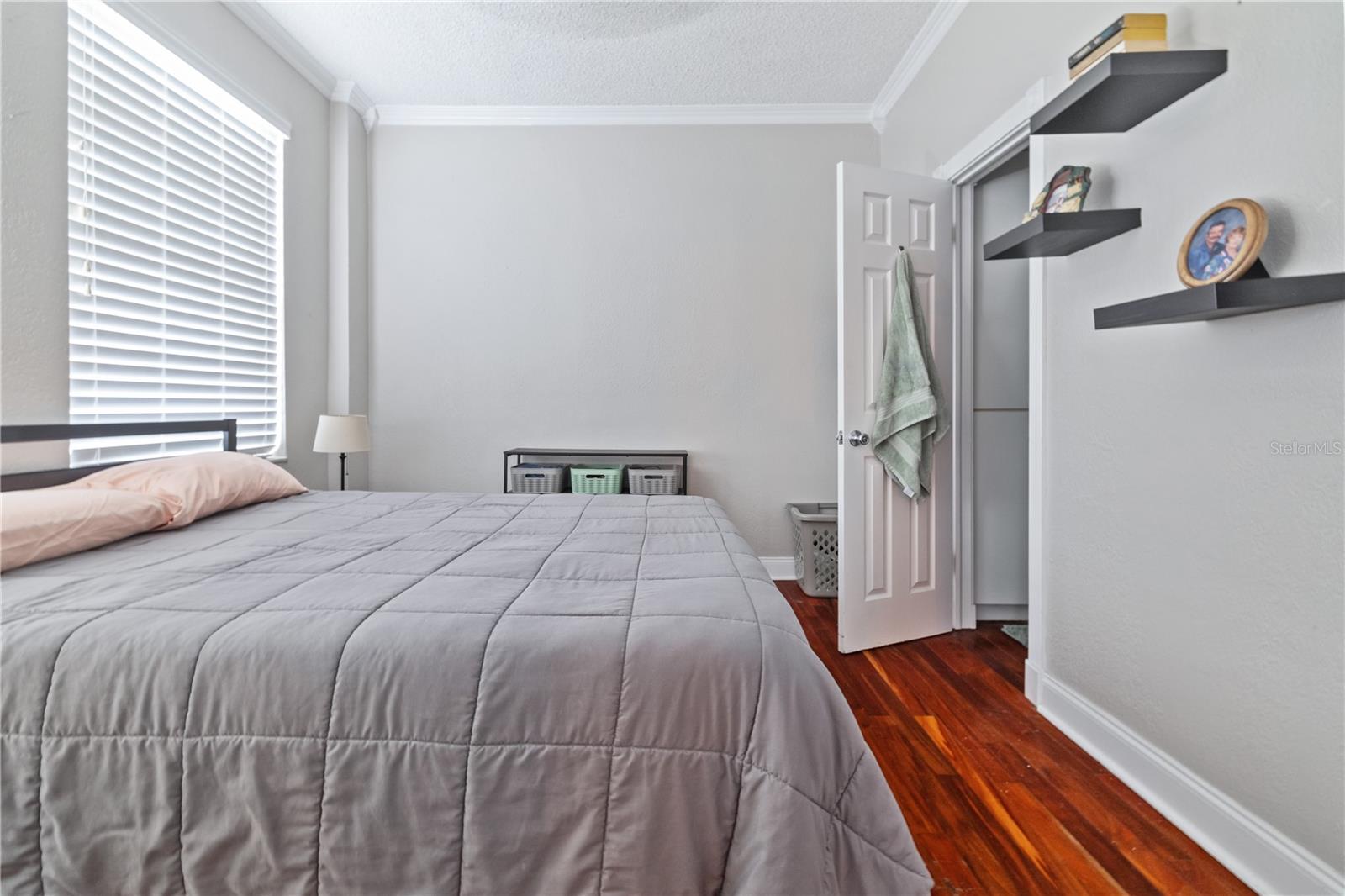 2109 BAYSHORE BLVD #909, TAMPA, FL, 33606