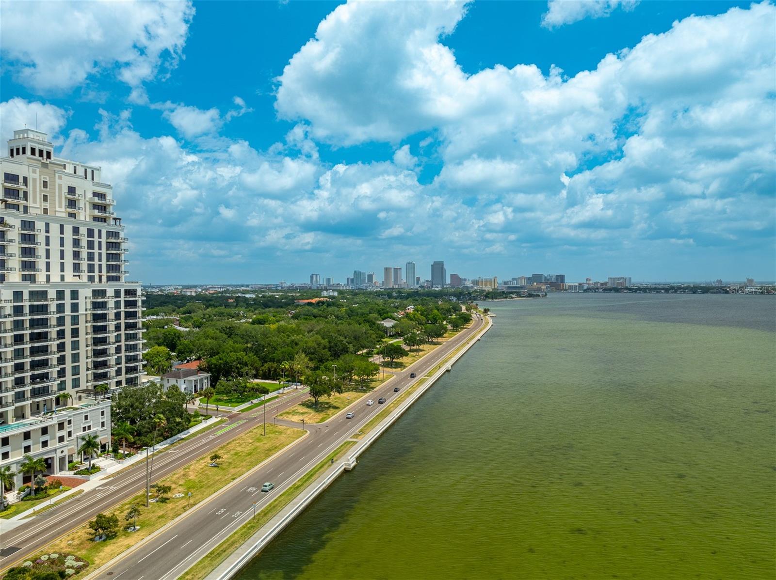 2109 BAYSHORE BLVD #909, TAMPA, FL, 33606