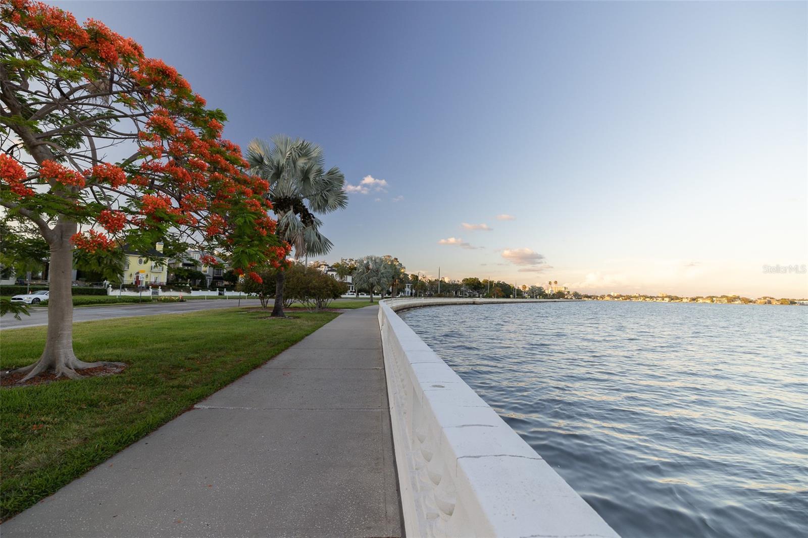 2109 BAYSHORE BLVD #909, TAMPA, FL, 33606