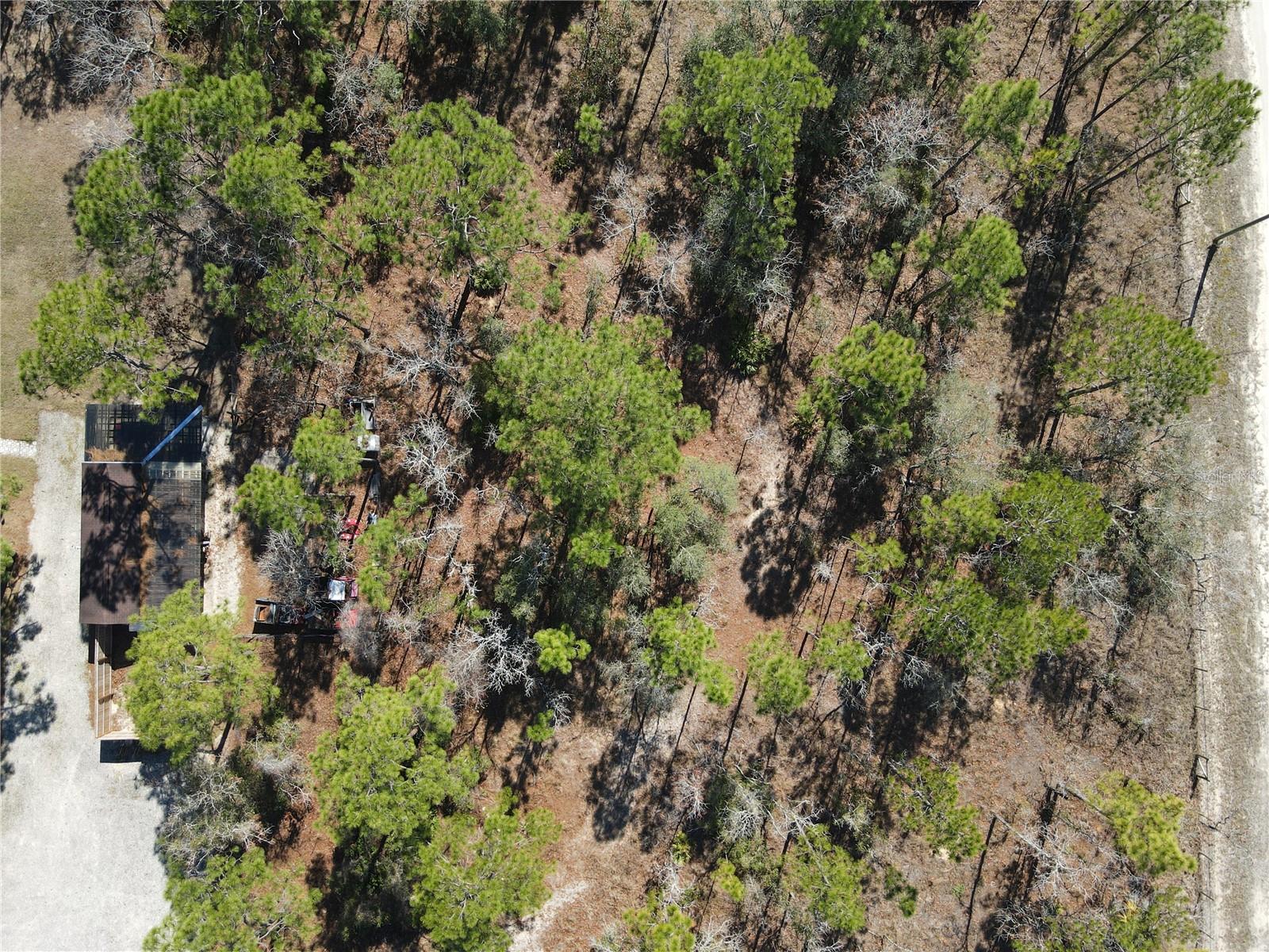 FLEETWOOD RD, WEEKI WACHEE, FL, 34614