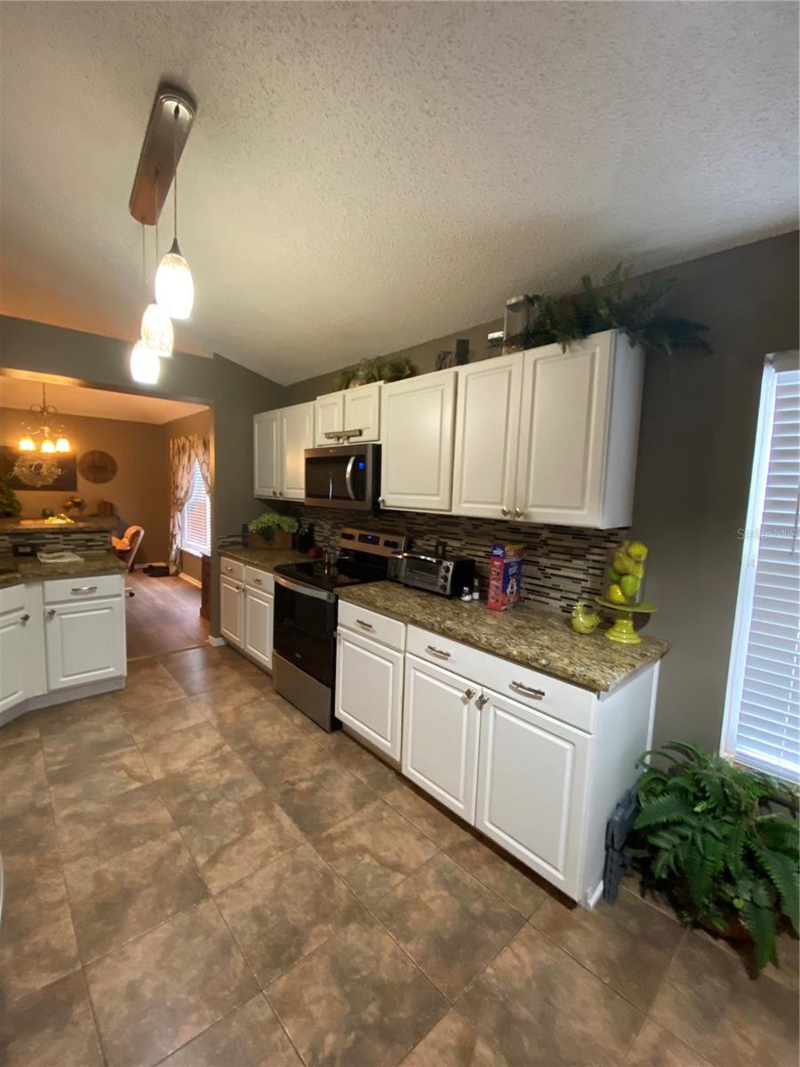 3242 WILD PEPPER CT, DELTONA, FL, 32725