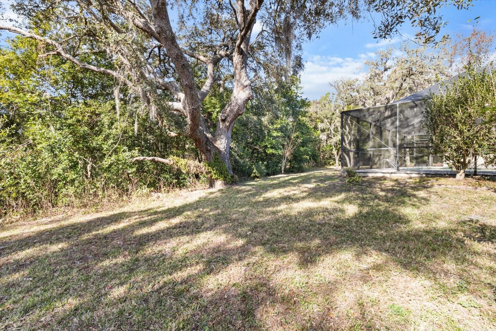 17 BALSAM CT W, HOMOSASSA, FL, 34446