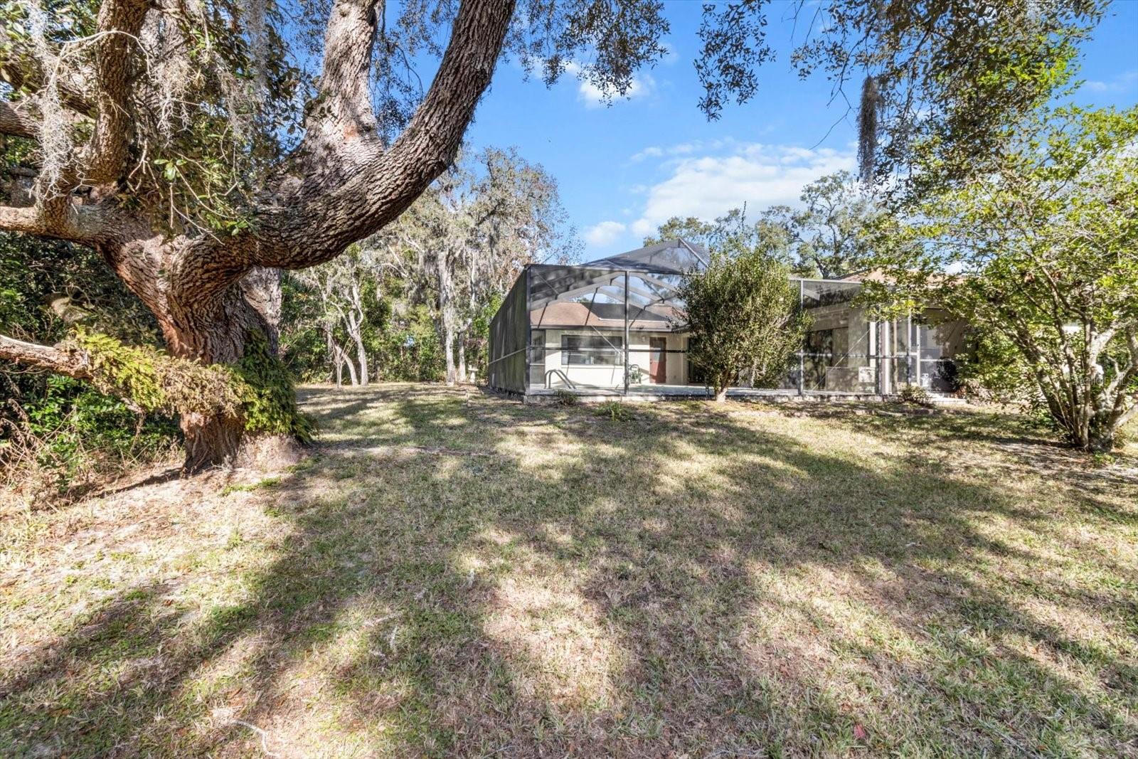 17 BALSAM CT W, HOMOSASSA, FL, 34446