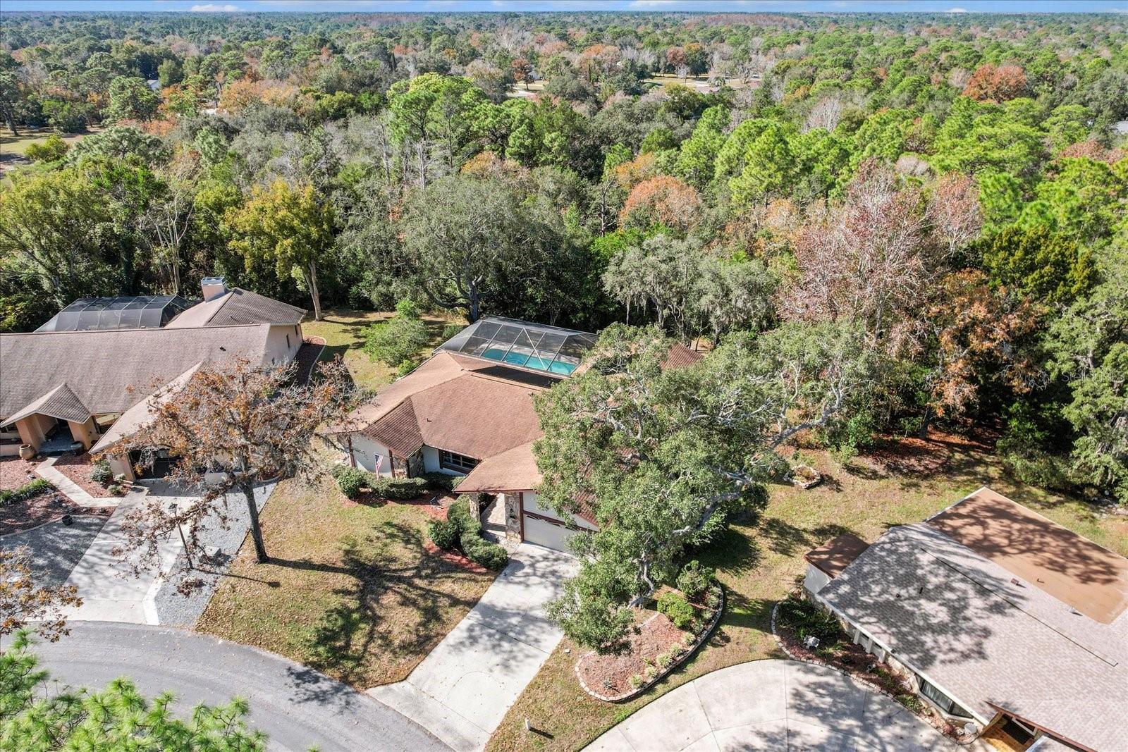 17 BALSAM CT W, HOMOSASSA, FL, 34446