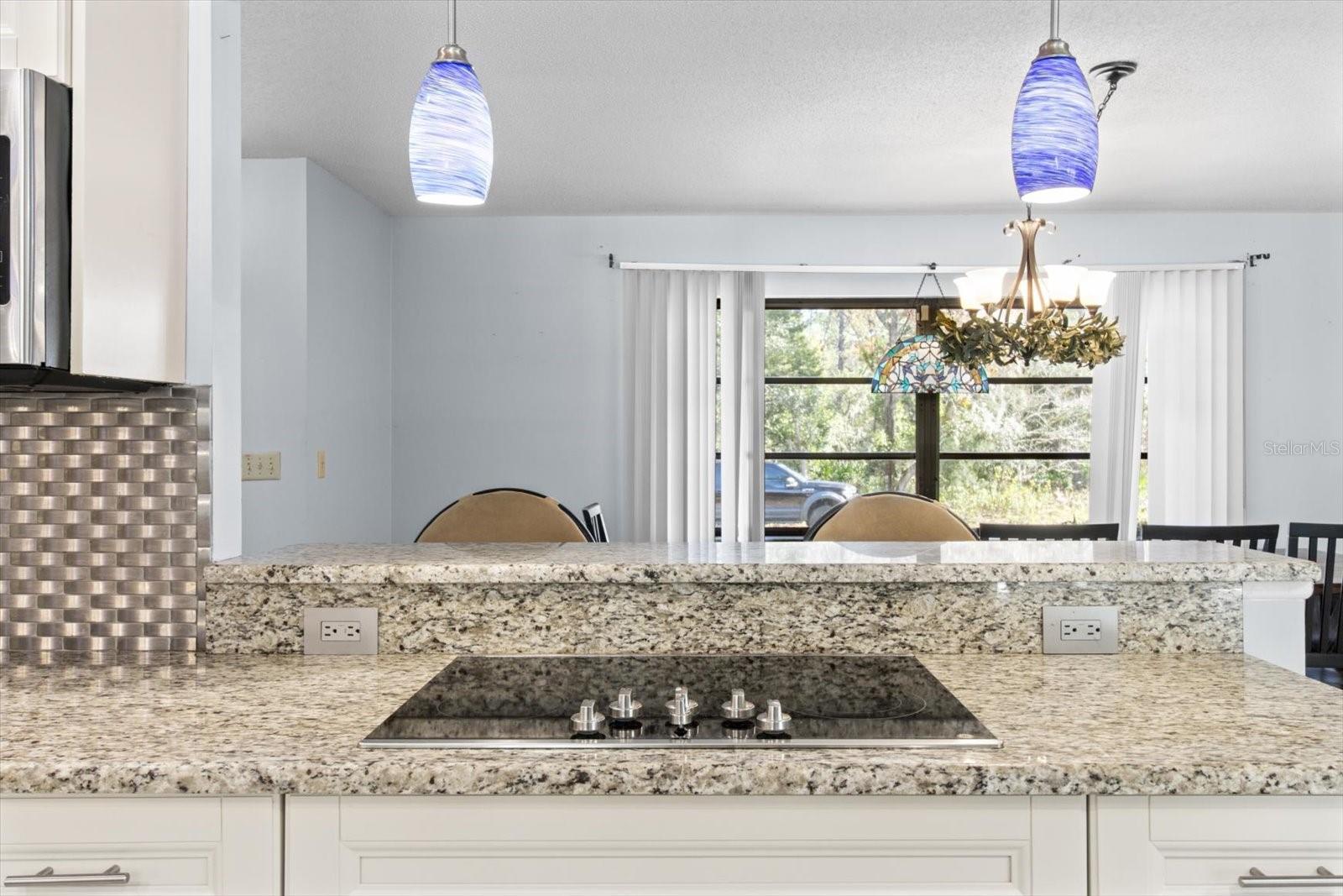 17 BALSAM CT W, HOMOSASSA, FL, 34446