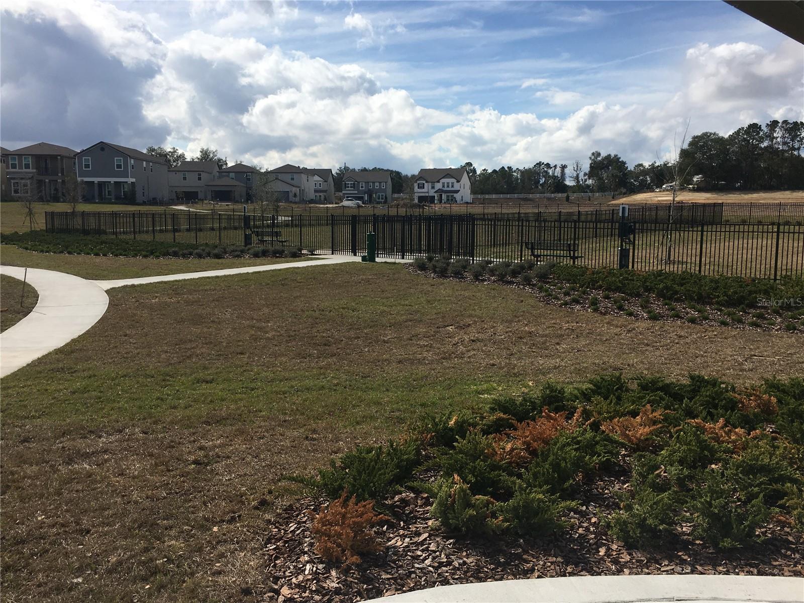 1769 WHITE FEATHER LOOP, OAKLAND, FL, 34787
