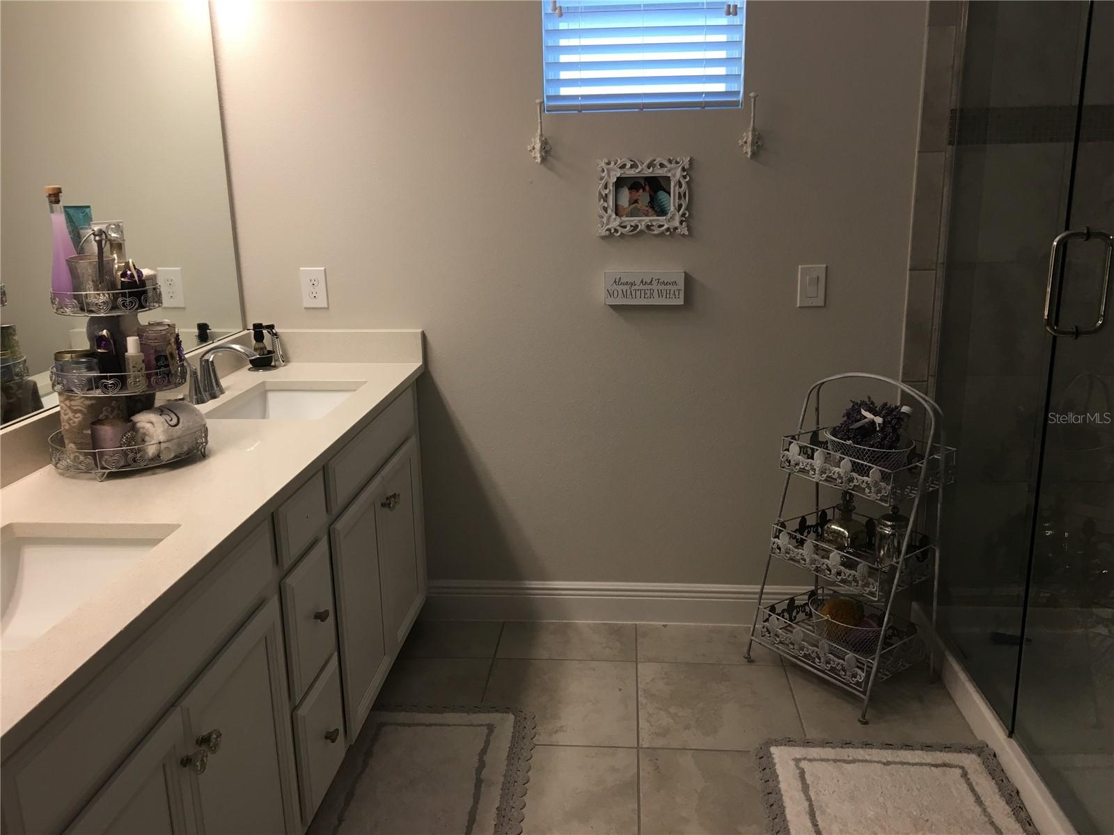 1769 WHITE FEATHER LOOP, OAKLAND, FL, 34787
