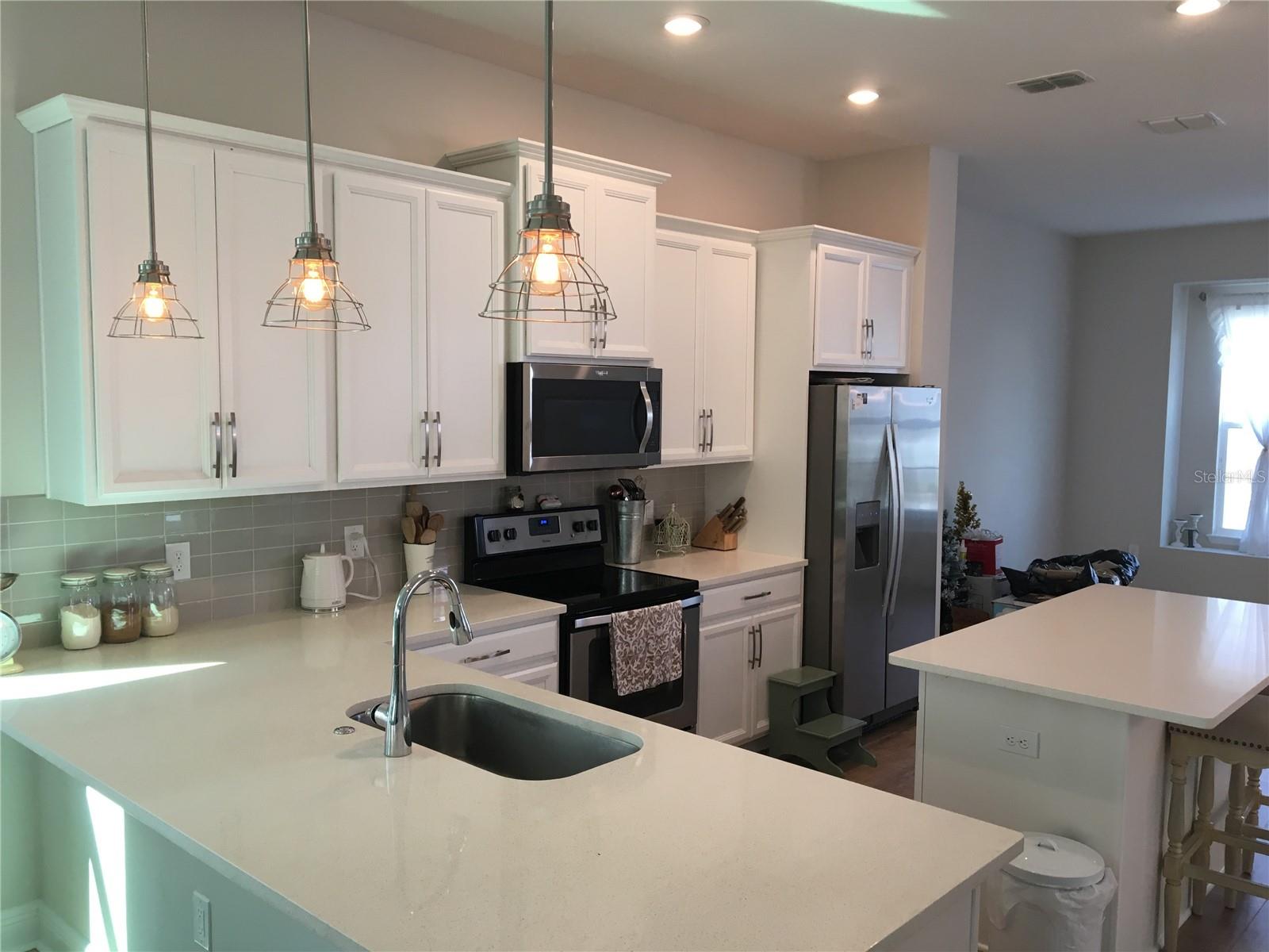 1769 WHITE FEATHER LOOP, OAKLAND, FL, 34787