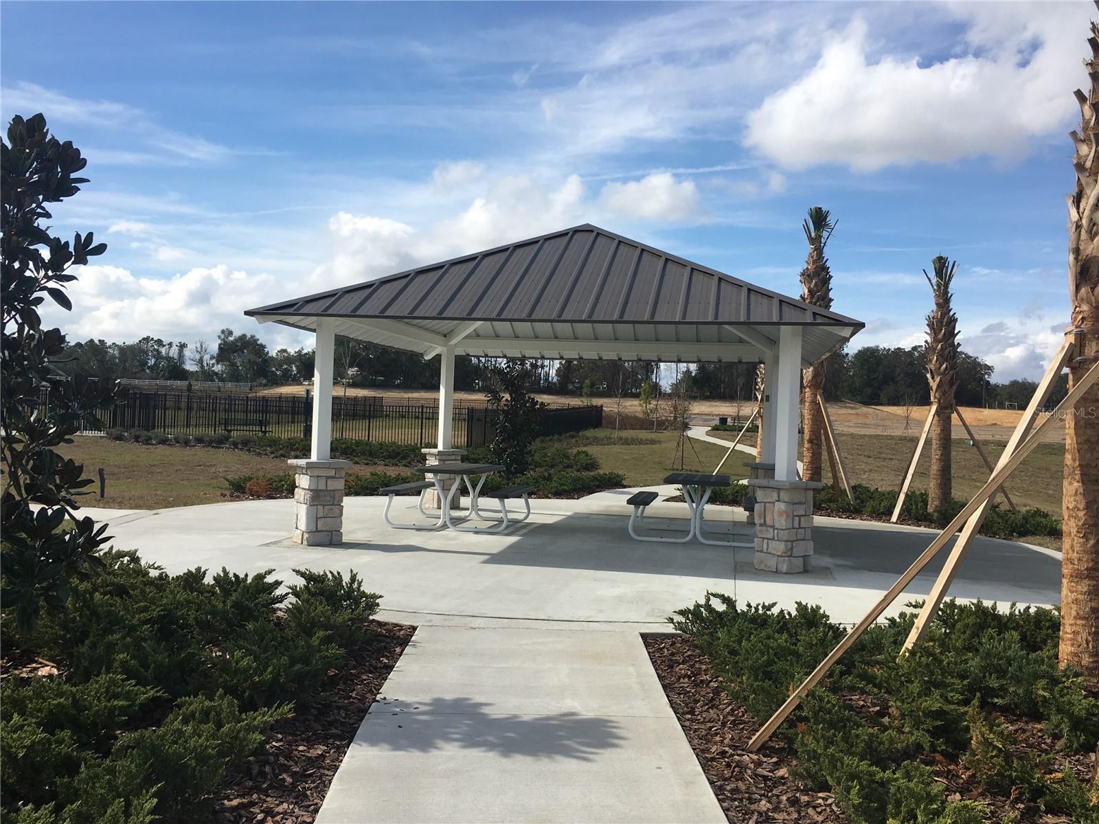 1769 WHITE FEATHER LOOP, OAKLAND, FL, 34787