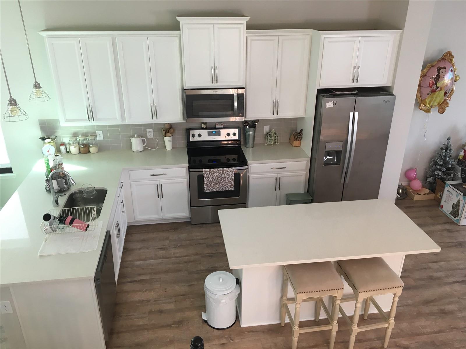 1769 WHITE FEATHER LOOP, OAKLAND, FL, 34787