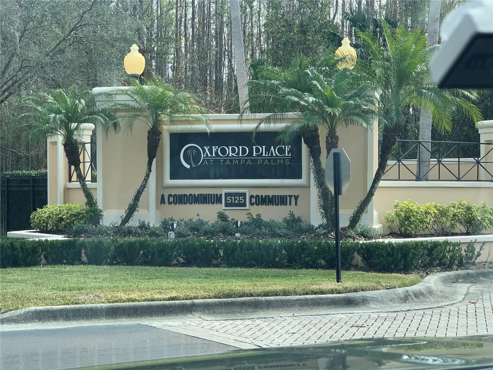 5125 PALM SPRINGS BLVD #10303, TAMPA, FL, 33647