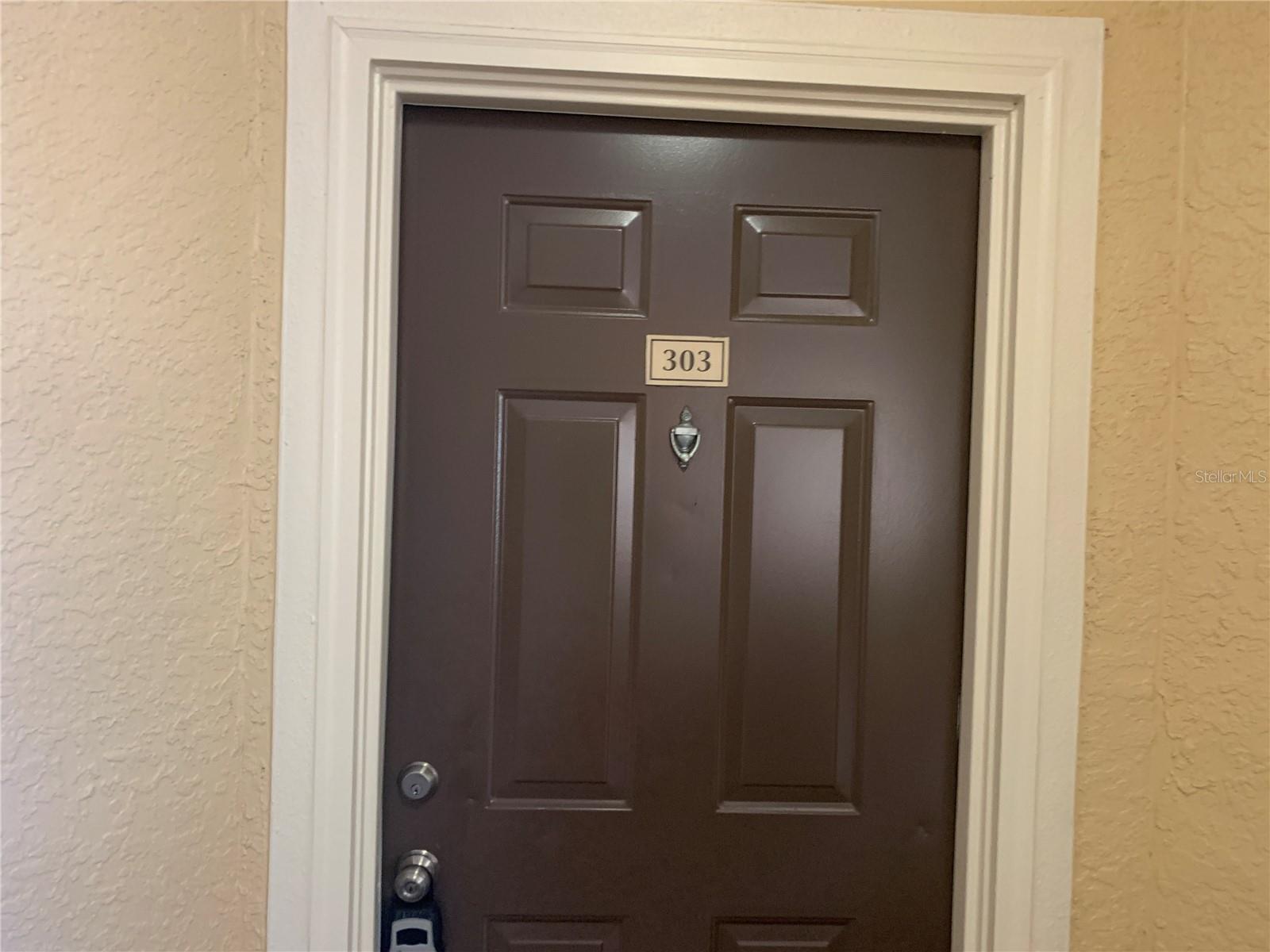 5125 PALM SPRINGS BLVD #10303, TAMPA, FL, 33647