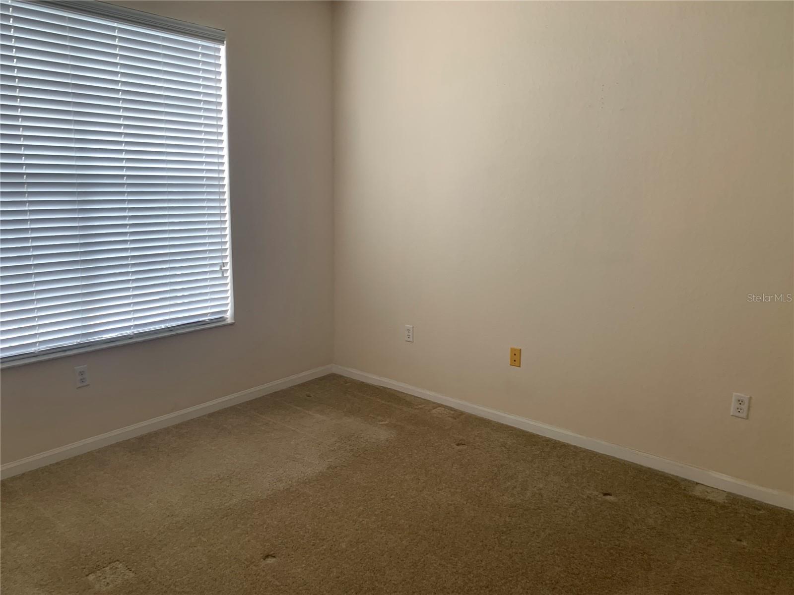 5125 PALM SPRINGS BLVD #10303, TAMPA, FL, 33647
