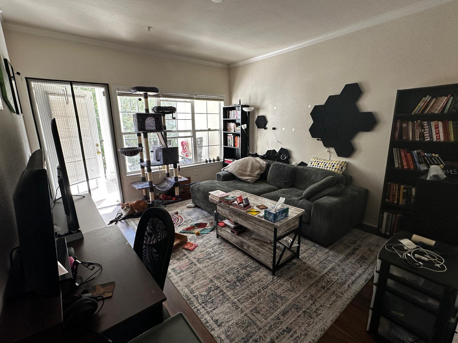 3605 CONROY RD #524, ORLANDO, FL, 32839