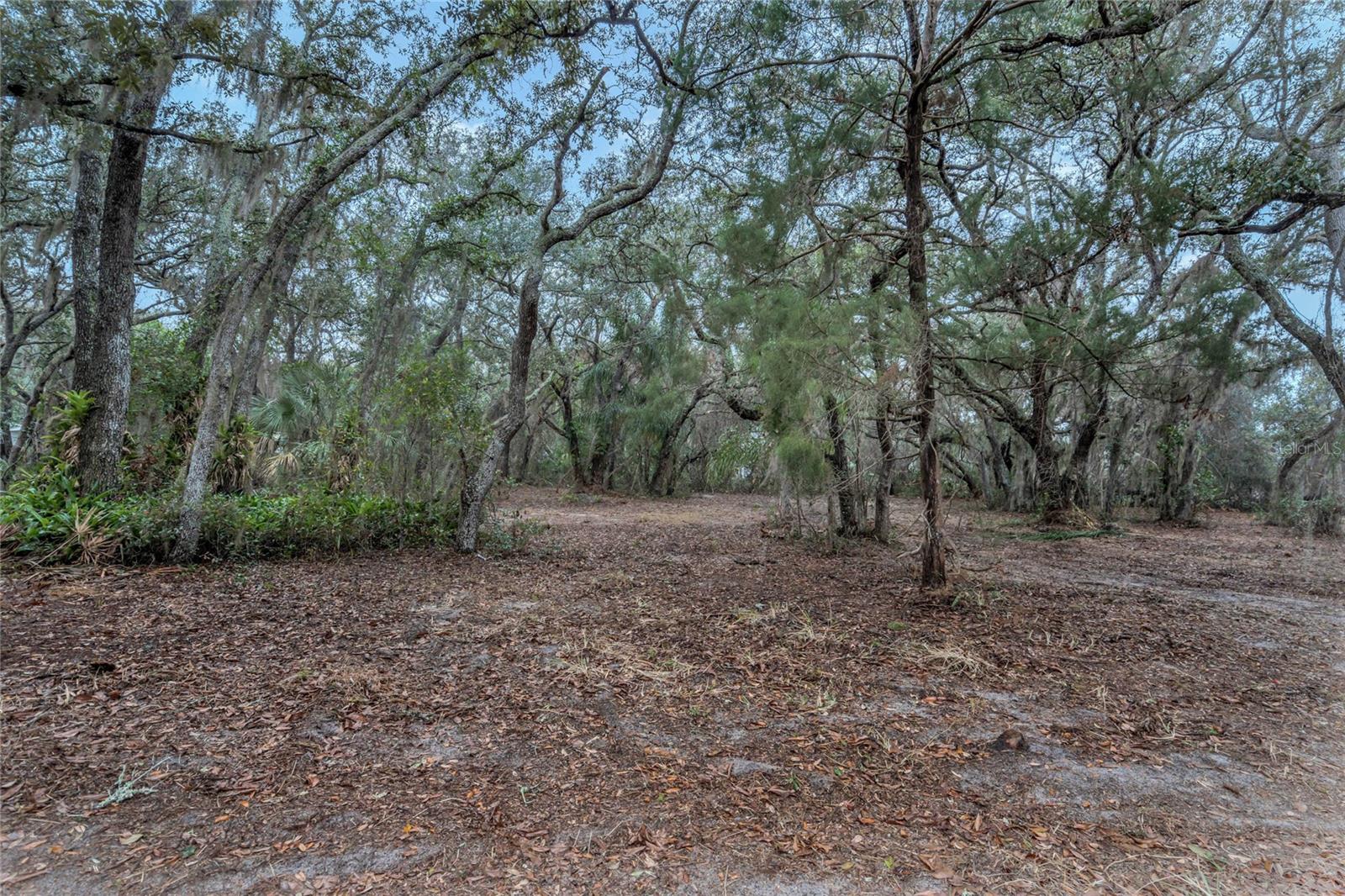 2027 CAPPS RD, LAKE WALES, FL, 33898