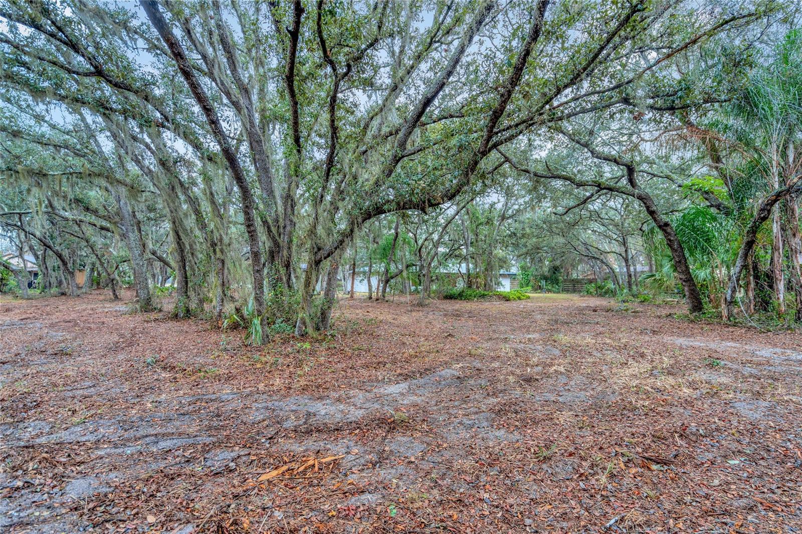 2027 CAPPS RD, LAKE WALES, FL, 33898