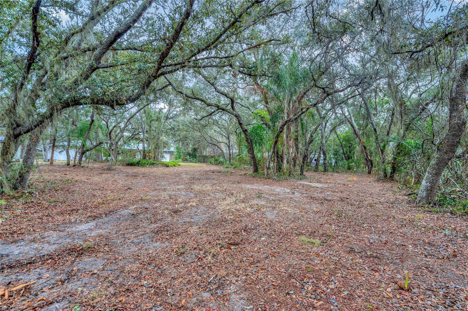 2027 CAPPS RD, LAKE WALES, FL, 33898