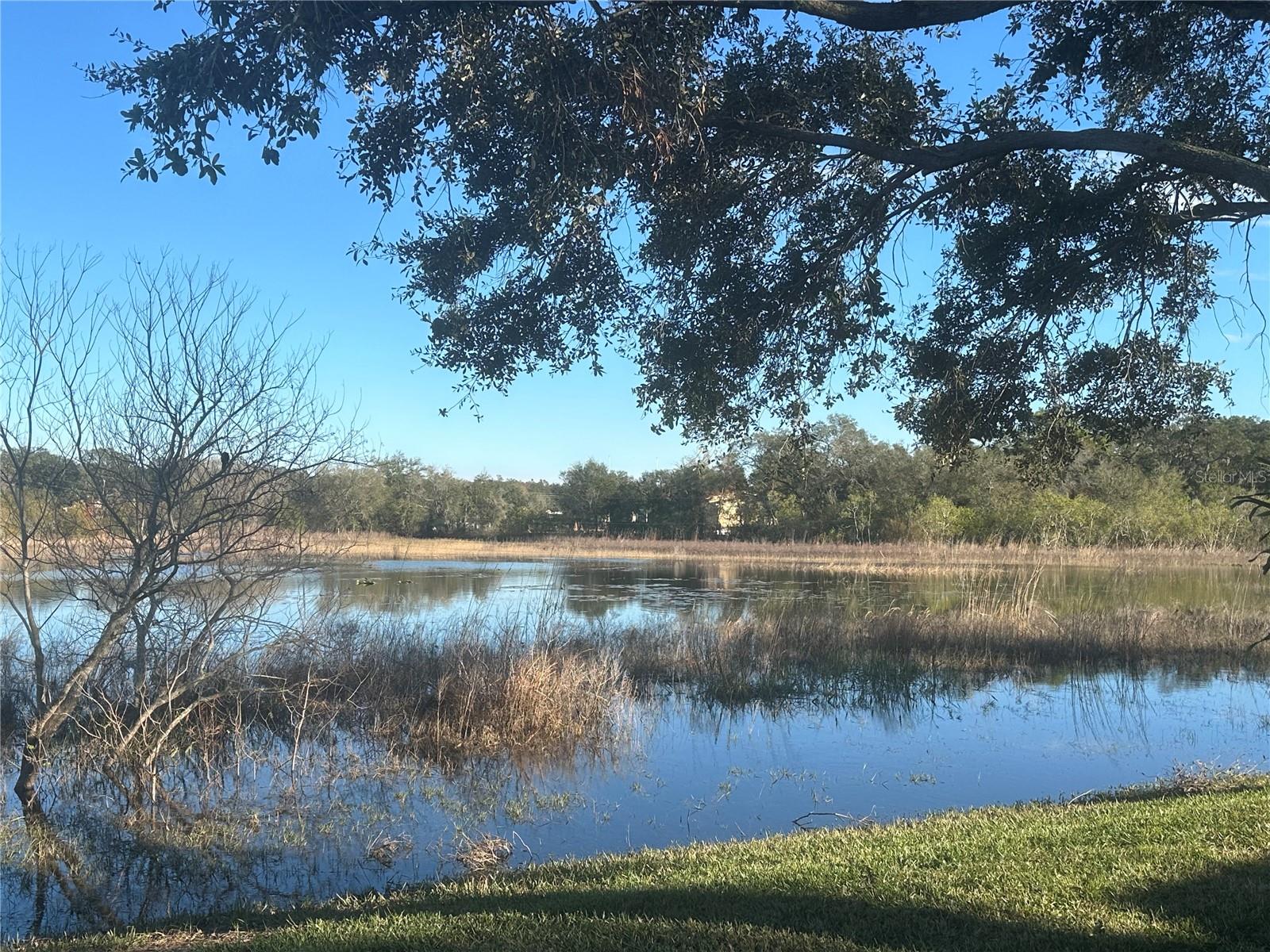 24825 PINE HL, LEESBURG, FL, 34748