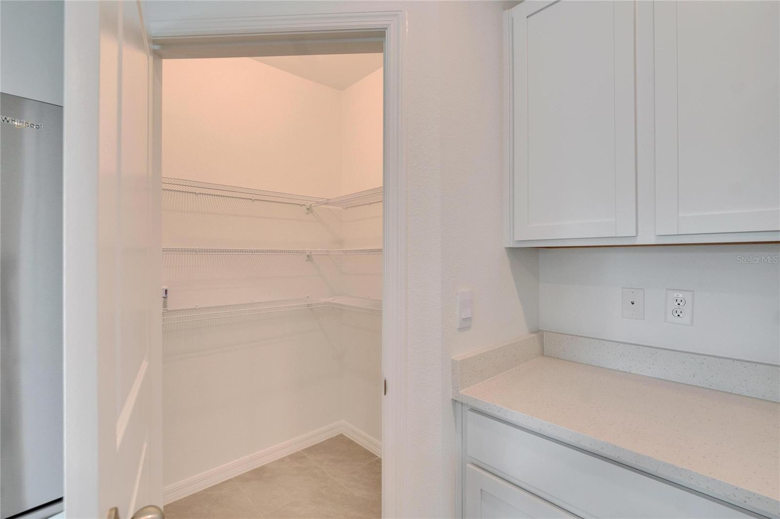 3513 THISTLE BANK CT, PLANT CITY, FL, 33565