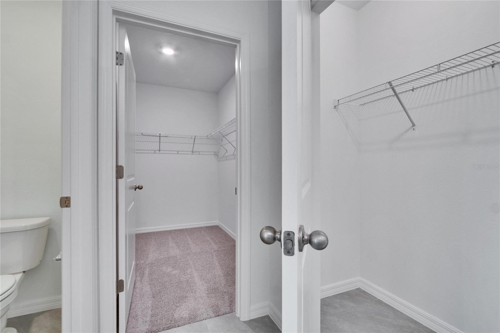 3513 THISTLE BANK CT, PLANT CITY, FL, 33565